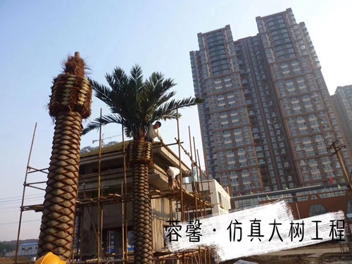 午夜在线视频观看大树